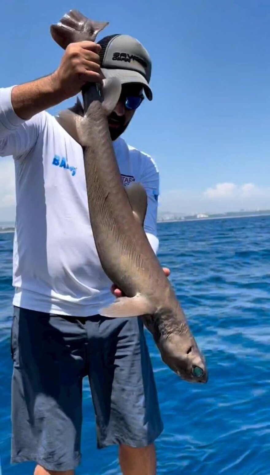 Τουρκία: Καρχαρίας με σμαραγδένια μάτια πιάστηκε στα δίχτυα ενός ψαρά στην Αττάλεια - Φωτογραφίες