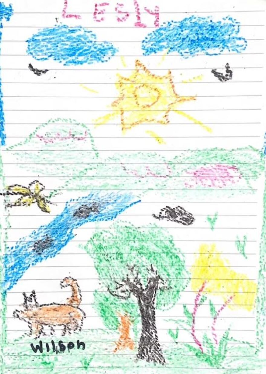 Κολομβία: Οι πρώτες φωτογραφίες από το νοσοκομείο των παιδιών που σώθηκαν στη ζούγκλα - Οι συγκινητικές ζωγραφιές τους