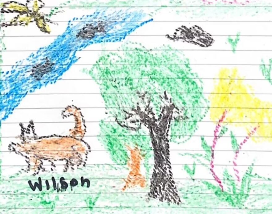 Κολομβία: Ανακτούν τις δυνάμεις τους τα παιδιά που διασώθηκαν από τη ζούγκλα 