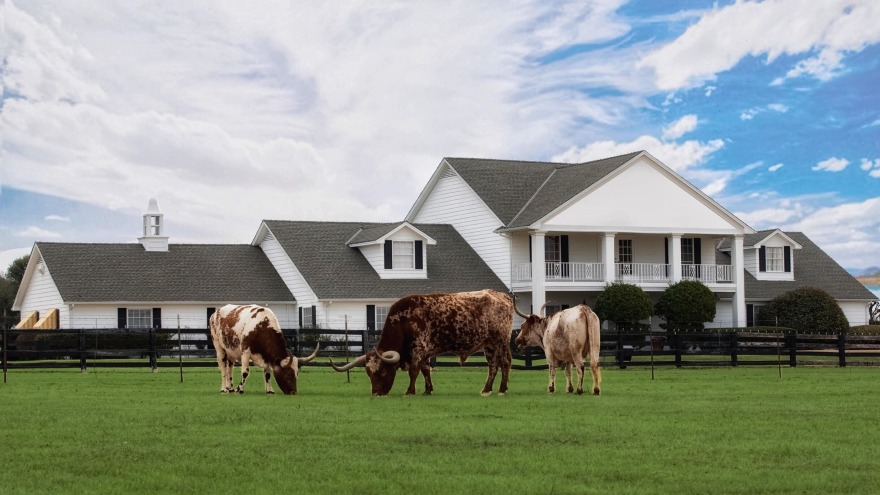 Ντάλας: 45 χρόνια από το ντεμπούτο της διάσημης σαπουνόπερας