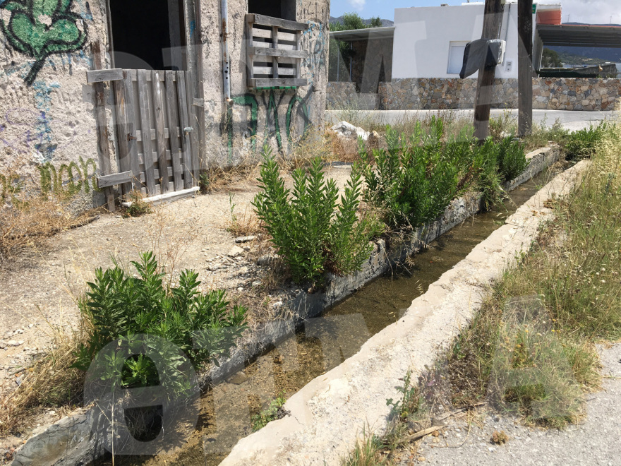 Εξαφάνιση στην Κω: Βρέθηκε σε εγκαταλελειμμένο σπίτι στο Μαρμάρι το κινητό της 27χρονης Αναστάζια