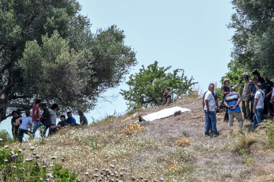 Ηλεία: Τα πρόβατα του θύματος που έβοσκαν στο χωράφι του 83χρονου δράστη αιτία του φονικού