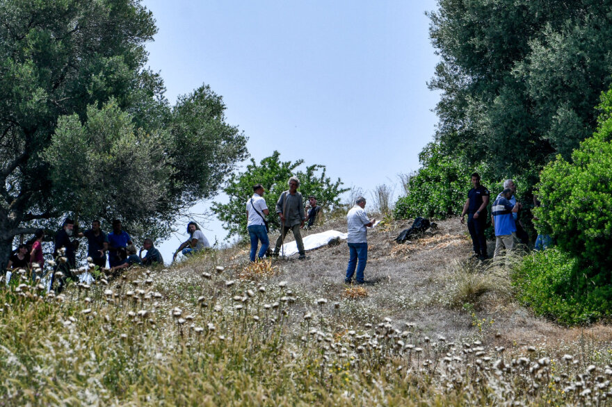 Ηλεία: Τα πρόβατα του θύματος που έβοσκαν στο χωράφι του 83χρονου δράστη αιτία του φονικού