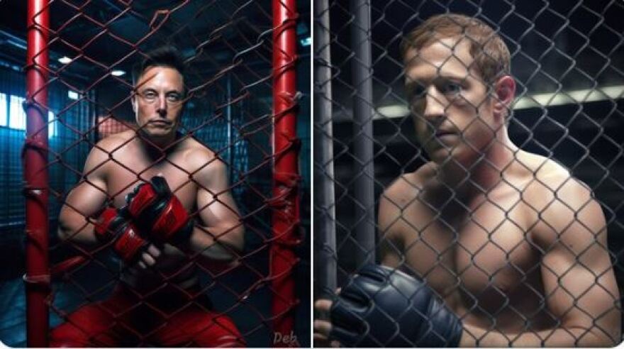 Μαρκ Ζούκερμπεργκ και Έλον Μασκ λένε ότι θέλουν να παλέψουν μεταξύ τους και... ίσως σοβαρολογούν