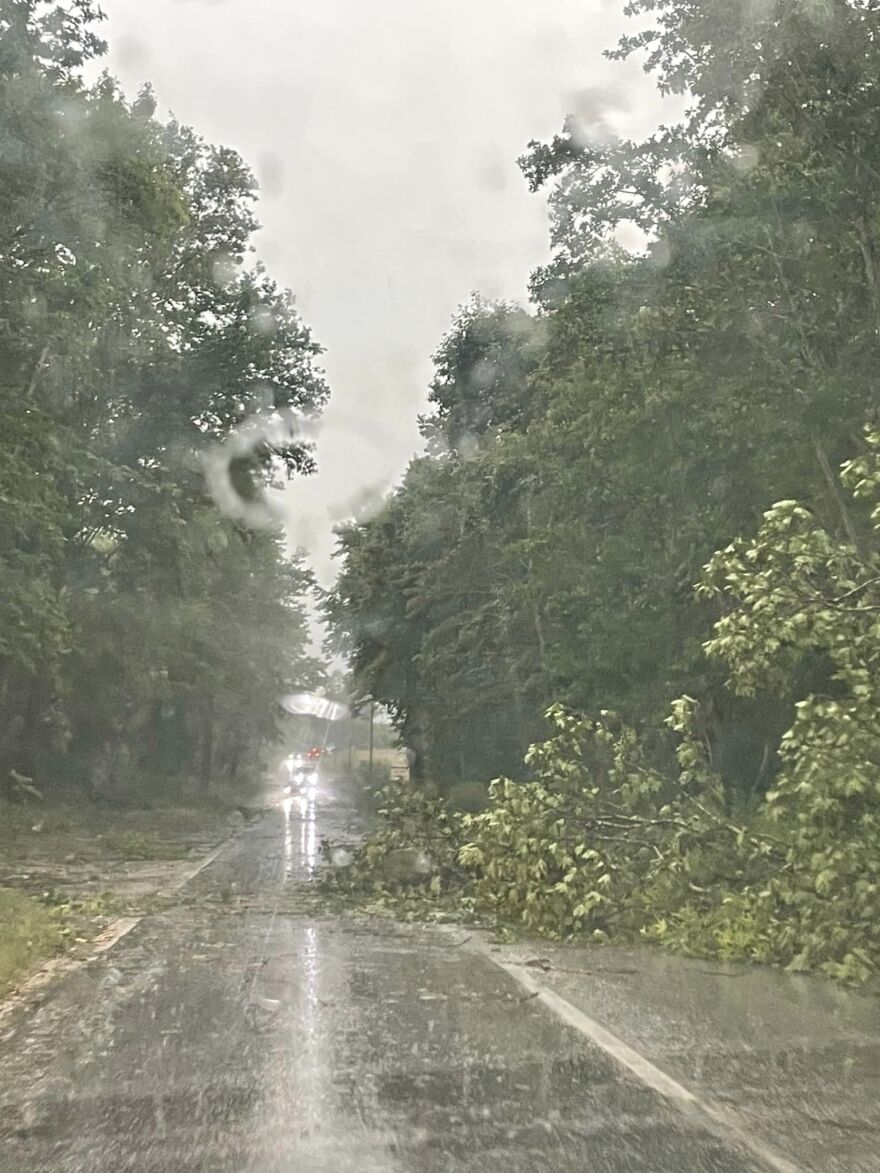 Κοζάνη: Θυελλώδεις άνεμοι ξεριζώνουν δέντρα και... κεραμίδια - Δείτε βίντεο και φωτογραφίες