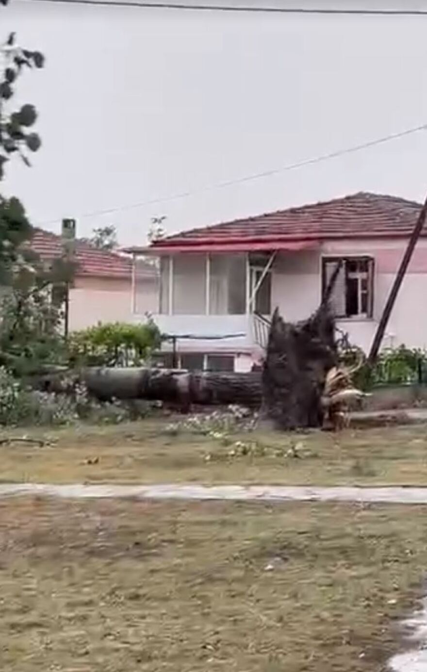 Κοζάνη: Θυελλώδεις άνεμοι ξεριζώνουν δέντρα και... κεραμίδια - Δείτε βίντεο και φωτογραφίες
