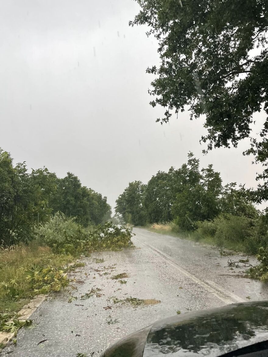 Κοζάνη: Θυελλώδεις άνεμοι ξεριζώνουν δέντρα και... κεραμίδια - Δείτε βίντεο και φωτογραφίες