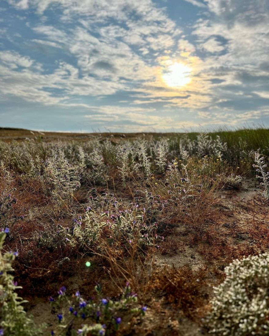Χριστίνα Κοντοβά: Το φωτογραφικό άλμπουμ από τις διακοπές της με την Έιντα στη Λήμνο