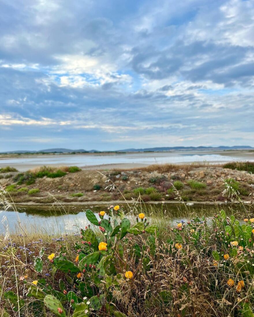 Χριστίνα Κοντοβά: Το φωτογραφικό άλμπουμ από τις διακοπές της με την Έιντα στη Λήμνο