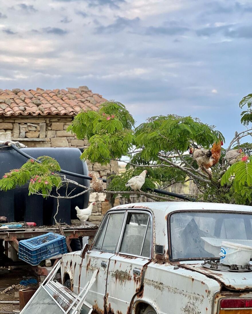 Χριστίνα Κοντοβά: Το φωτογραφικό άλμπουμ από τις διακοπές της με την Έιντα στη Λήμνο