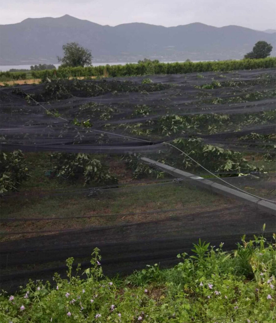 Κοζάνη: Ξαφνικό μπουρίνι κατέστρεψε δεντροκαλλιέργειες στον κάμπο του Βελβεντού