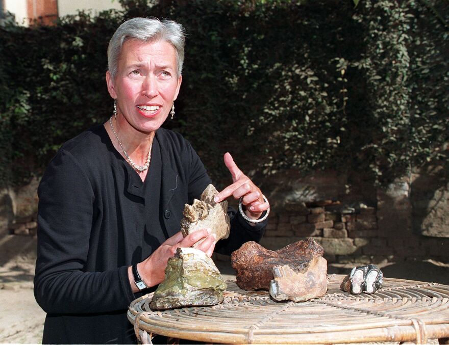 Έχετε σγουρά μαλλιά; - Τι δείχνει αυτό για το IQ σας