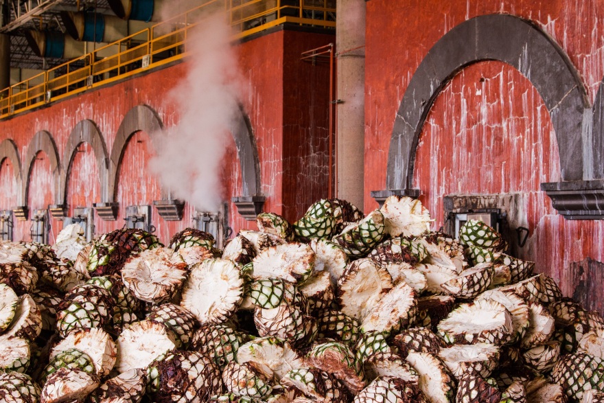 Σιρόπι αγαύης: Είναι πιο βλαβερό από τη ζάχαρη;