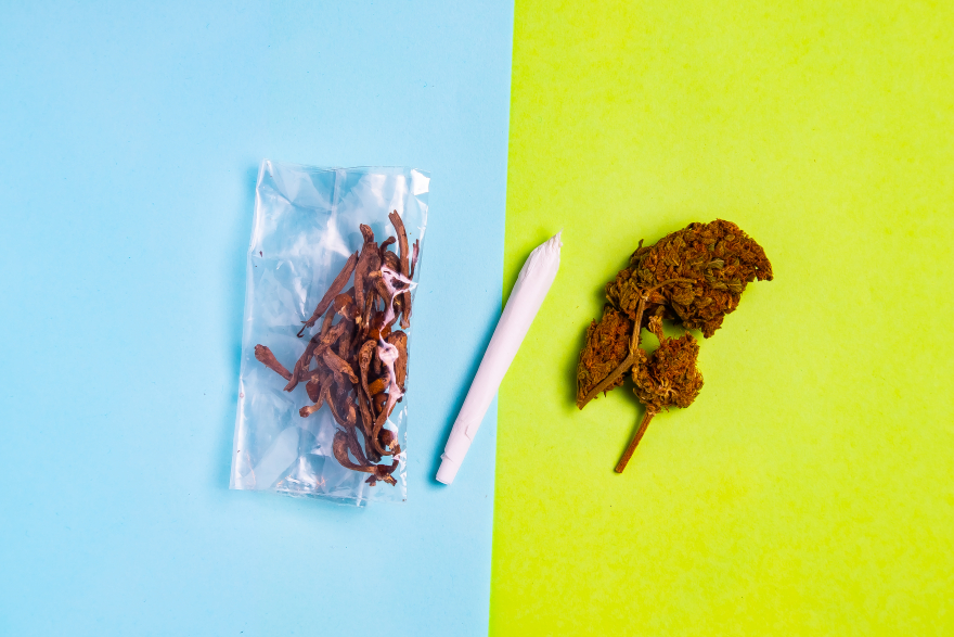 Μικροδόσεις από ψυχεδελικά μανιτάρια - Το νέο φάρμακο για την ψυχική υγεία