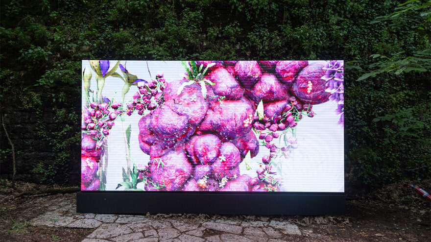 Τα Γιάννενα και τα παράξενα Plasmata τους