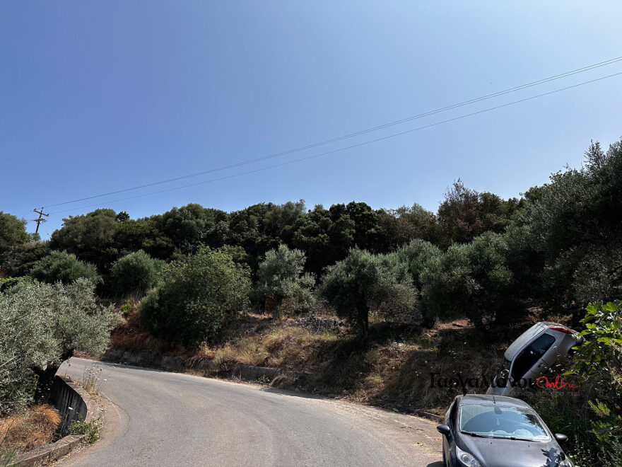 Μεσσηνία: Περίεργο τροχαίο στους Γαργαλιάνους - Η κατηφόρα «πήρε» ΙΧ, δείτε φωτογραφίες