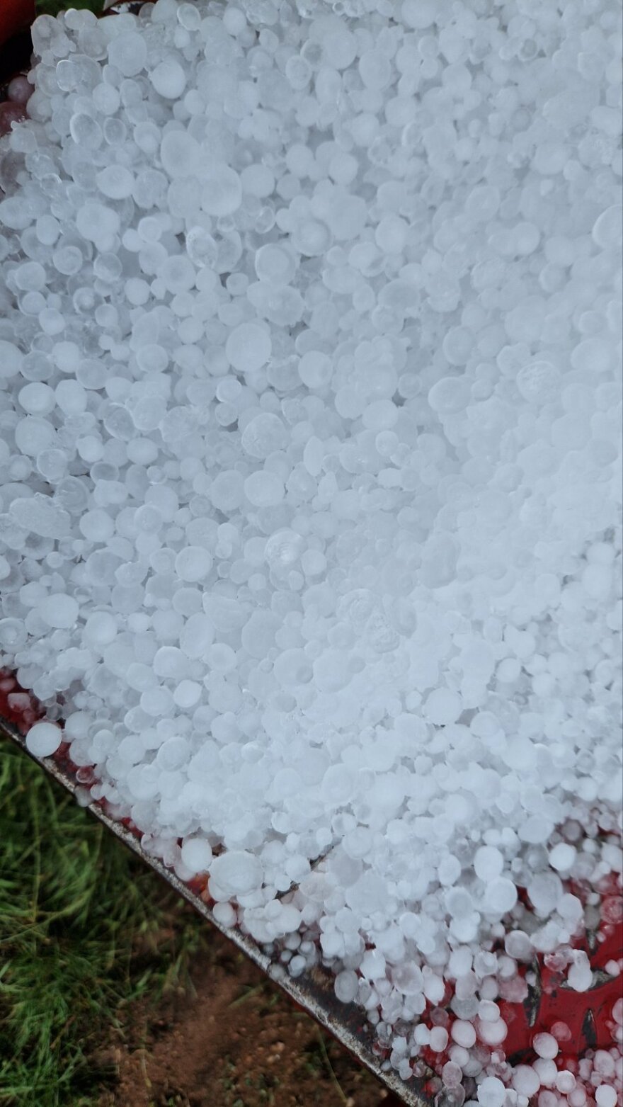 Εορδαία: Χαλάζι σε μέγεθος καρυδιού «σκέπασε» τις καλλιέργειες - Δείτε φωτογραφίες