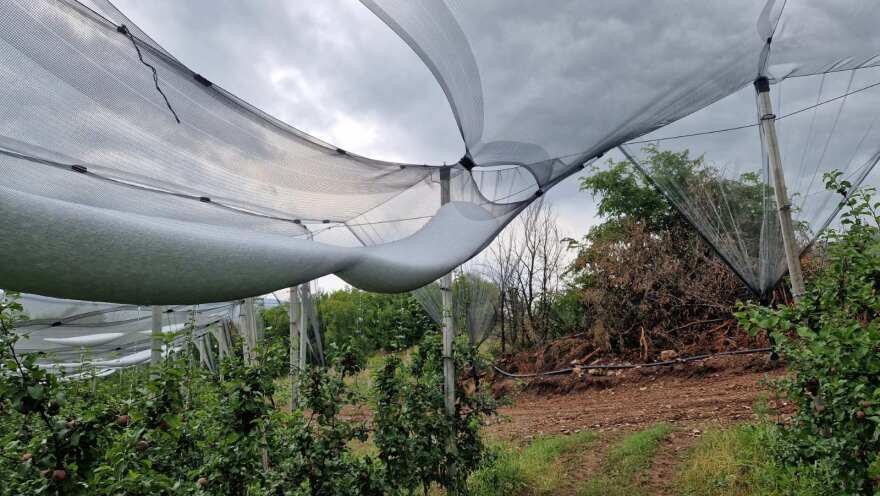 Εορδαία: Χαλάζι σε μέγεθος καρυδιού «σκέπασε» τις καλλιέργειες - Δείτε φωτογραφίες