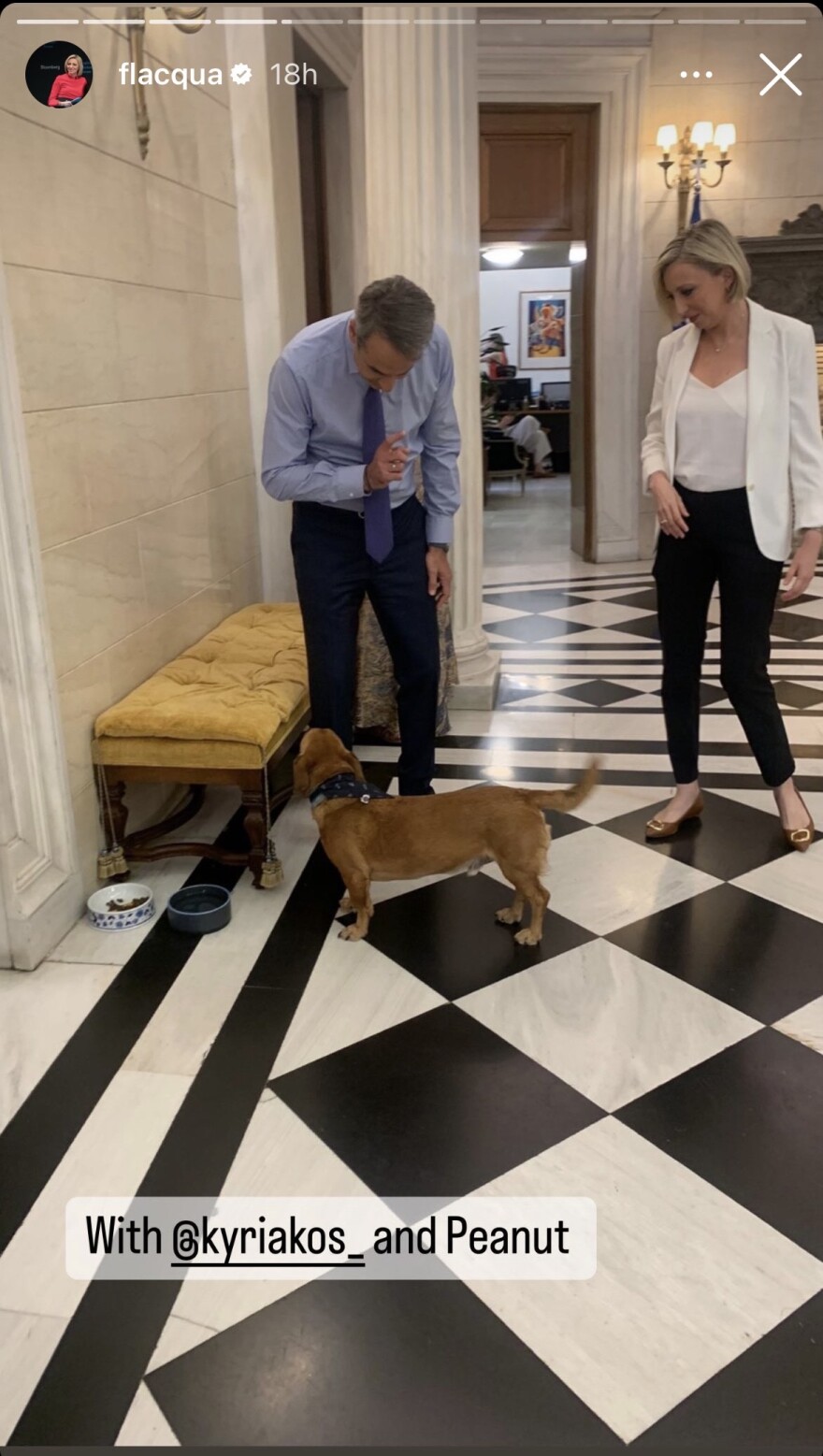 Μητσοτάκης: Παιχνίδια με τον Peanut στο περιθώριο της συνέντευξης στο Bloomberg - Φωτογραφίες