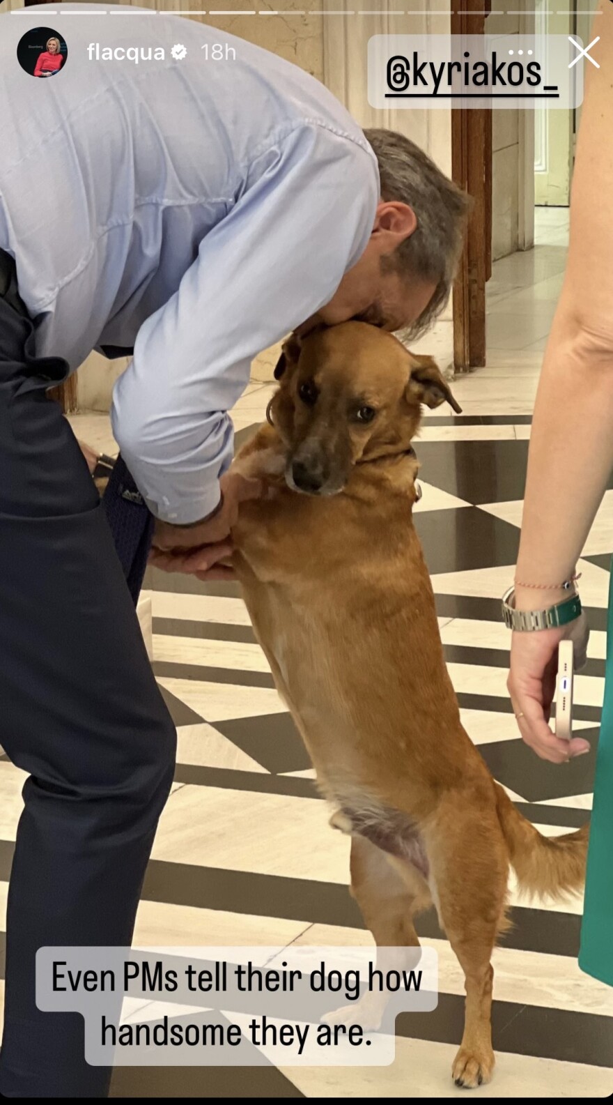 Μητσοτάκης: Παιχνίδια με τον Peanut στο περιθώριο της συνέντευξης στο Bloomberg - Φωτογραφίες