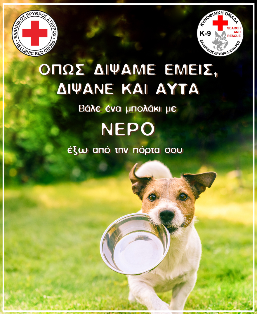 Καύσωνας: Πώς να προστατεύσετε τα κατοικίδιά σας – Οδηγίες από τον Ελληνικό Ερυθρό Σταυρό