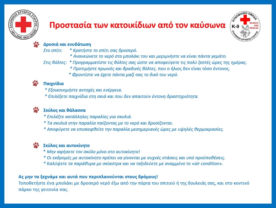 Καύσωνας: Πώς να προστατεύσετε τα κατοικίδιά σας – Οδηγίες από τον Ελληνικό Ερυθρό Σταυρό