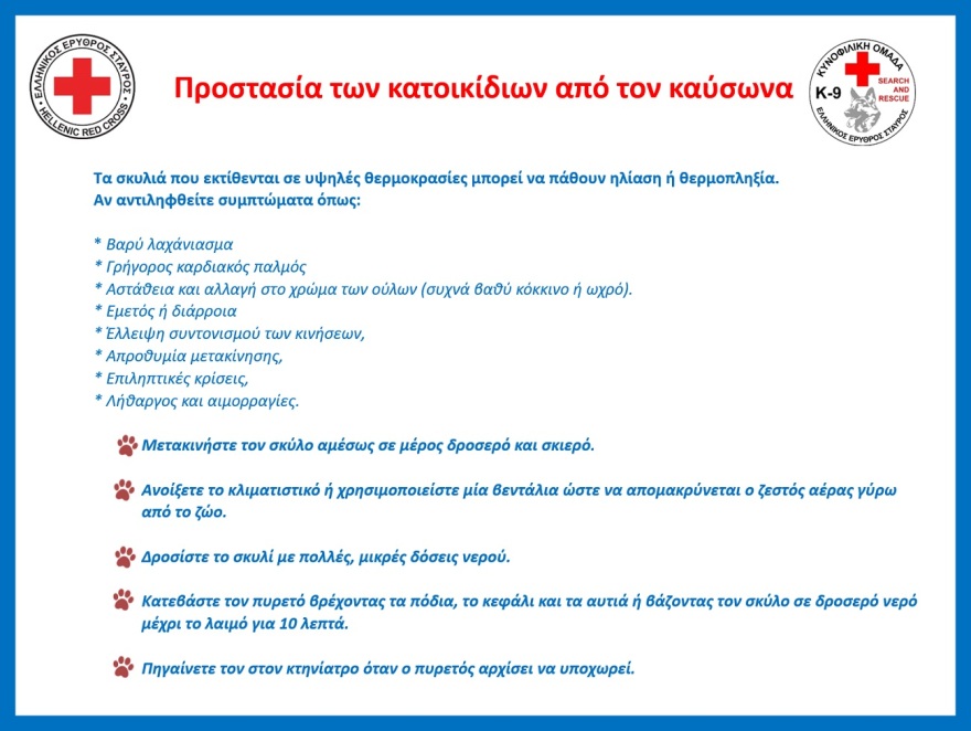 Καύσωνας: Πώς να προστατεύσετε τα κατοικίδιά σας – Οδηγίες από τον Ελληνικό Ερυθρό Σταυρό