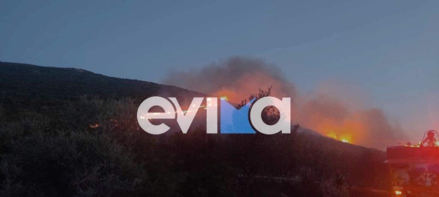 Φωτιά στo Αλιβέρι Ευβοίας - Δεν απειλούνται κατοικημένες περιοχές