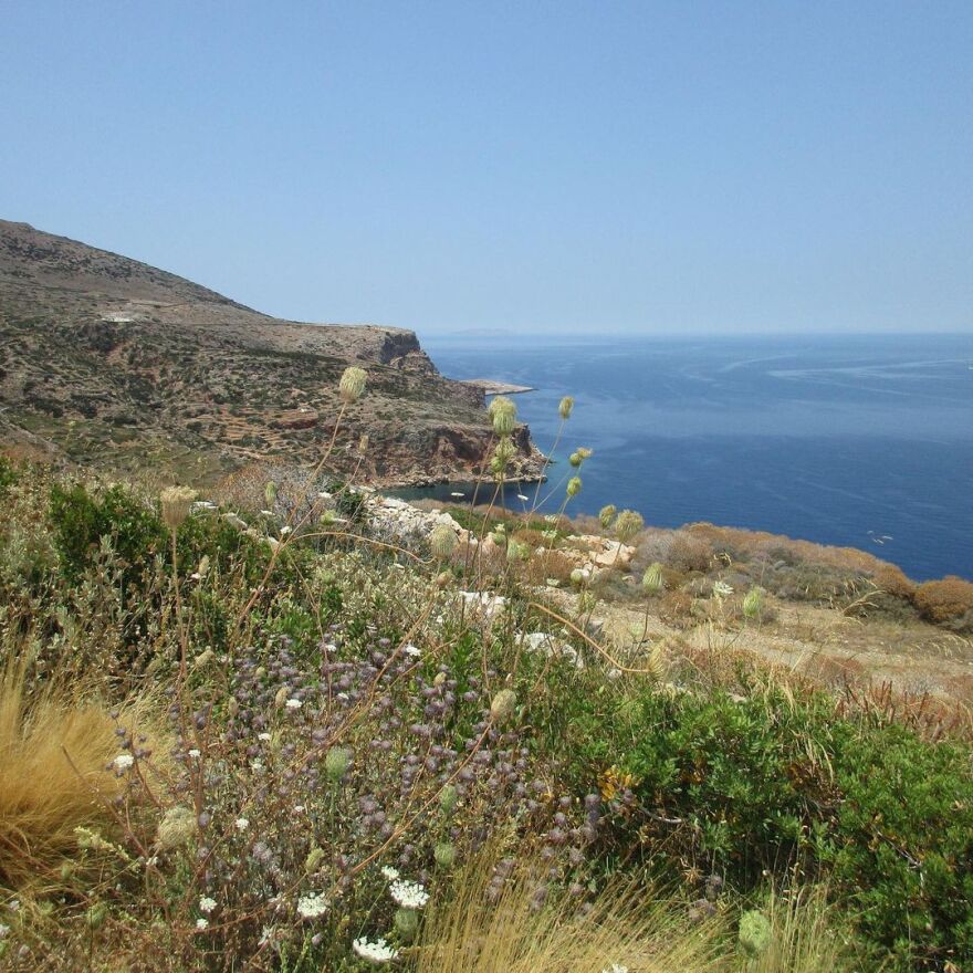 Ντούα Λίπα: Ξετρελαμένη με την Ελλάδα - Δεν σταματάει να ανεβάζει φωτογραφίες από τις διακοπές της