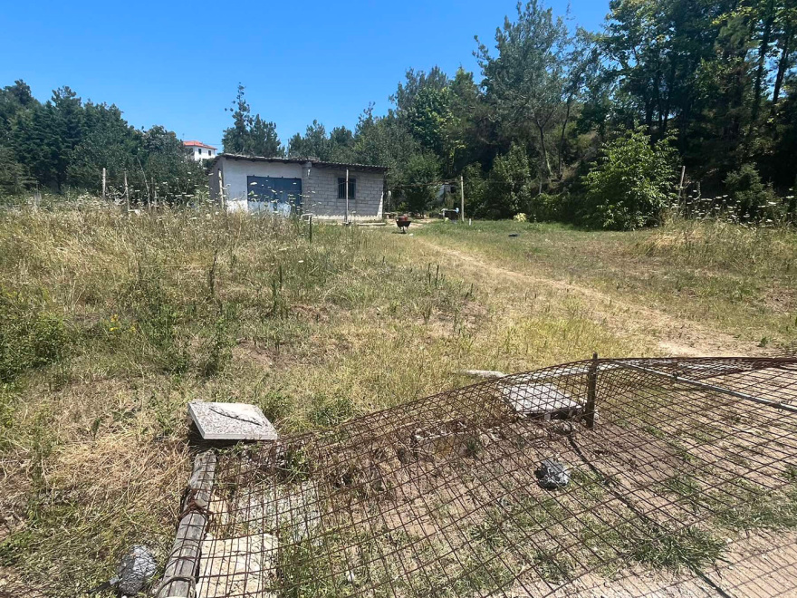 Χαλκιδική: «Νιώσαμε τα σκάγια και γεμίσαμε αίματα» λέει ένας από τους ανήλικους που πυροβόλησε ο 70χρονος