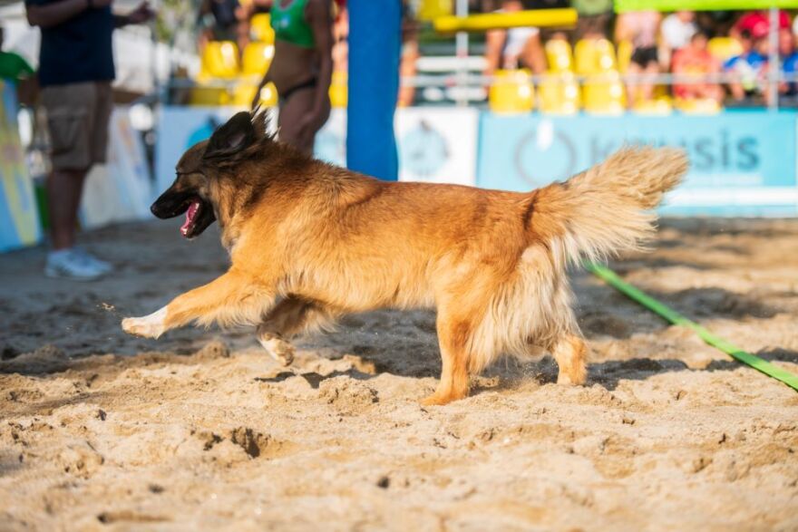 Μπιτς Βόλεϊ, Xanthi Grand Slam: Τα ζευγάρια των ημιτελικών στις γυναίκες