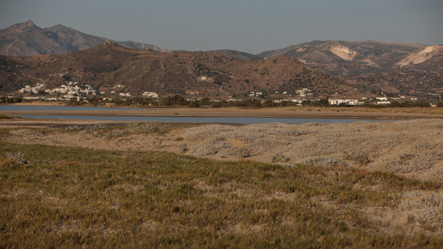 Νάξος: Πανεπιστήμια από όλο τον κόσμο μελετούν τη Λαγκούνα - Η αρχαία παραλία και η ιδέα που μπορεί να σώσει τον πλανήτη