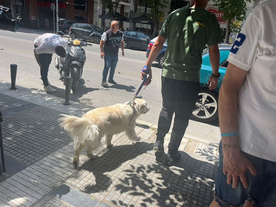 Φωτιά σε διαμέρισμα στη Θεσσαλονίκη: Απεγκλωβίστηκε άτομο από μπαλκόνι με γερανοφόρο όχημα - Βίντεο