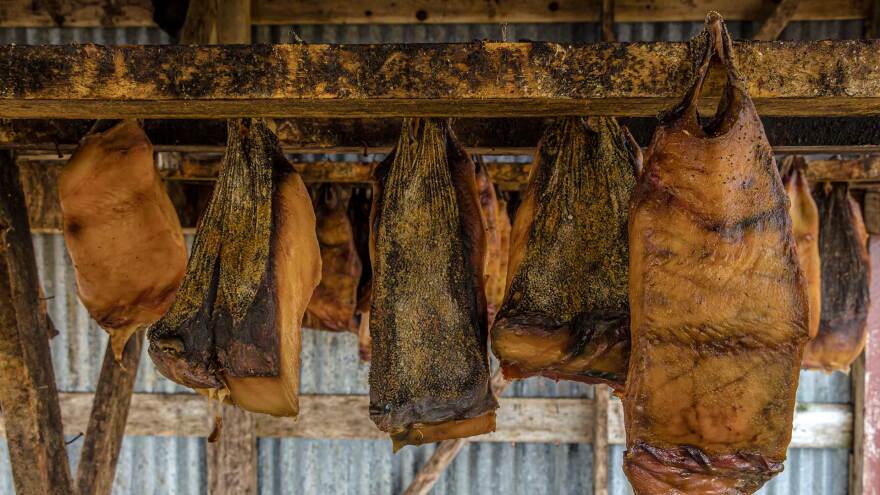 Taste Atlas: Ποιο ελληνικό φαγητό είναι ανάμεσα στα 50 χειρότερα του κόσμου - Πιο κάτω και από... μυρμήγκια