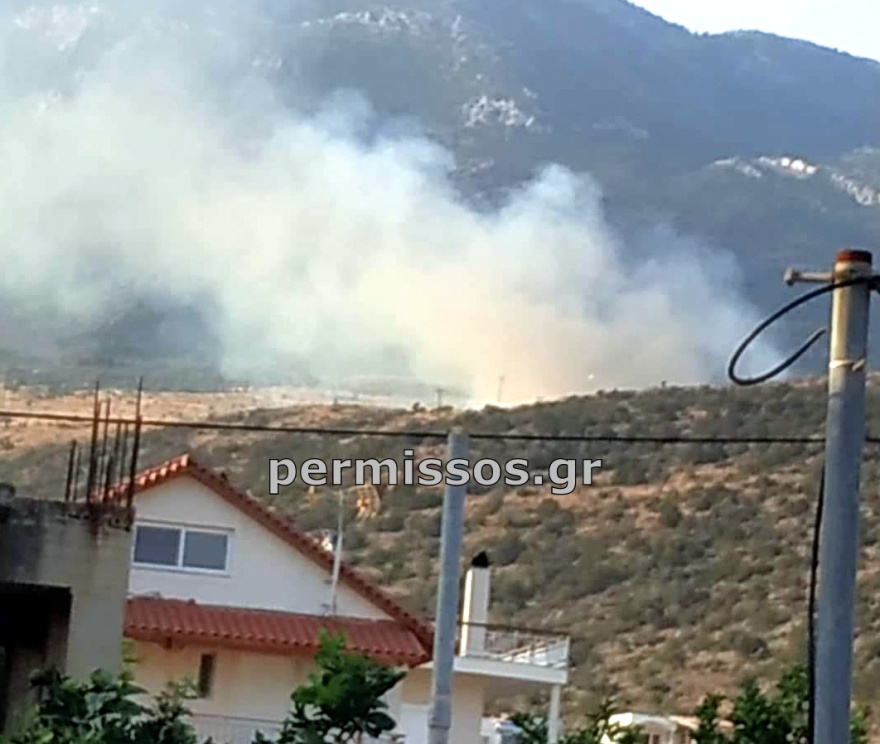 Φωτιά στον Πρόδρομο Βοιωτίας - Δεν απειλεί κατοικημένες περιοχές