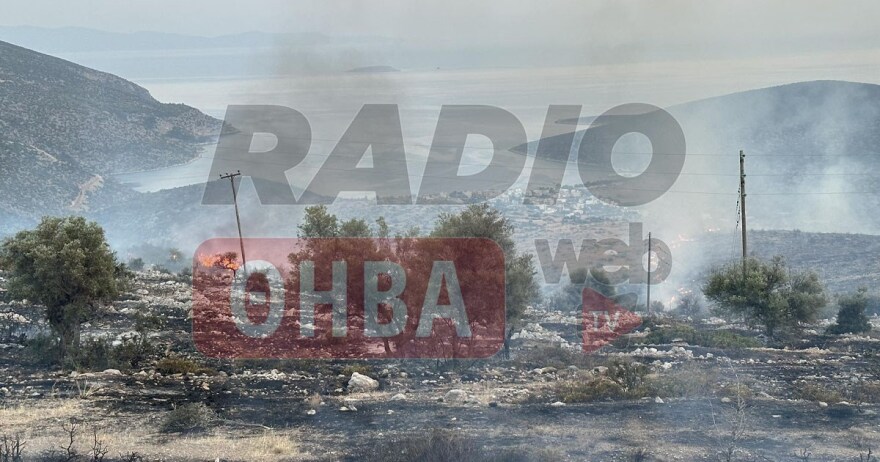 Φωτιά στον Πρόδρομο Βοιωτίας - Δεν απειλεί κατοικημένες περιοχές