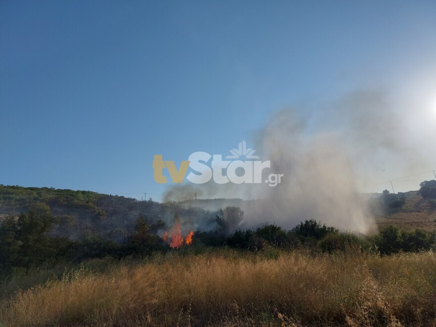 Οριοθετήθηκε πυρκαγιά στον περιφερειακό της Λαμίας – Ισχυρές δυνάμεις της Πυροσβεστικής στο σημείο