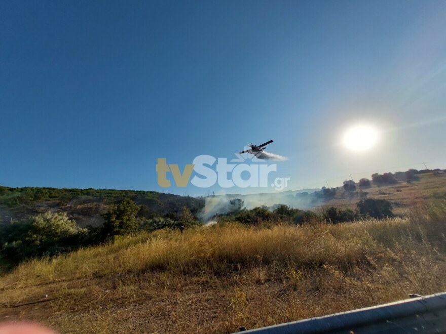 Οριοθετήθηκε πυρκαγιά στον περιφερειακό της Λαμίας – Ισχυρές δυνάμεις της Πυροσβεστικής στο σημείο