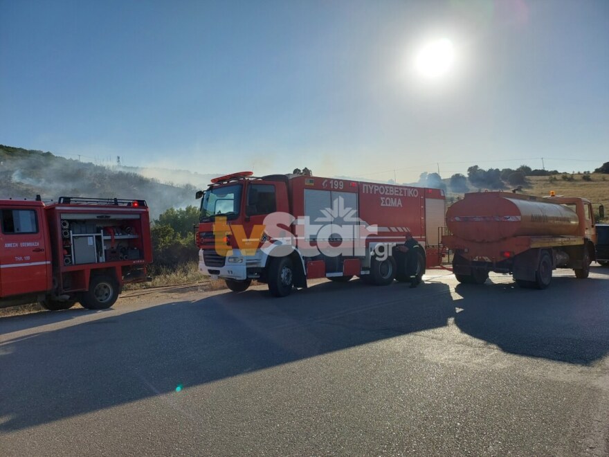 Οριοθετήθηκε πυρκαγιά στον περιφερειακό της Λαμίας – Ισχυρές δυνάμεις της Πυροσβεστικής στο σημείο