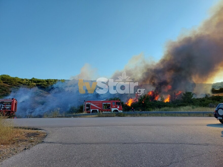 Οριοθετήθηκε πυρκαγιά στον περιφερειακό της Λαμίας – Ισχυρές δυνάμεις της Πυροσβεστικής στο σημείο