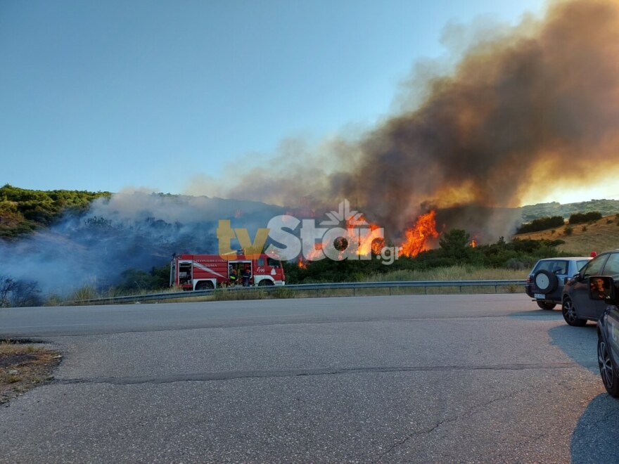 Οριοθετήθηκε πυρκαγιά στον περιφερειακό της Λαμίας – Ισχυρές δυνάμεις της Πυροσβεστικής στο σημείο