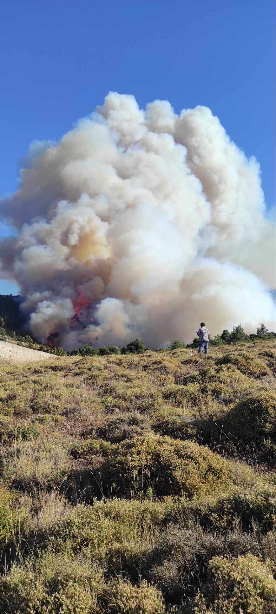 Ολονύχτια μάχη με τις φλόγες: Πώς εξελίσσεται η πυρκαγιά σε Σαρωνίδα, Δερβενοχώρια και Λουτράκι