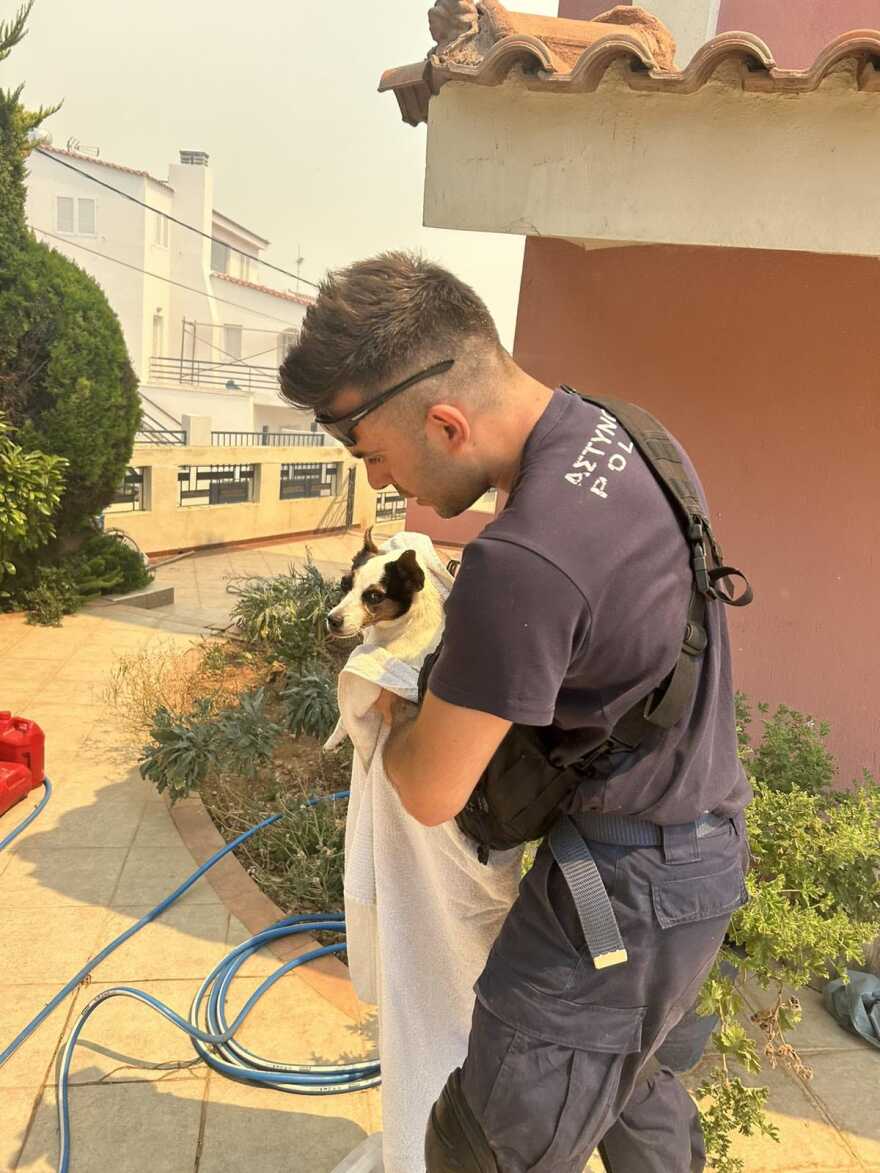  Φωτιές σε Κουβαρά - Λουτράκι: 146 απεγκλωβισμοί πολιτών από την ΕΛΑΣ