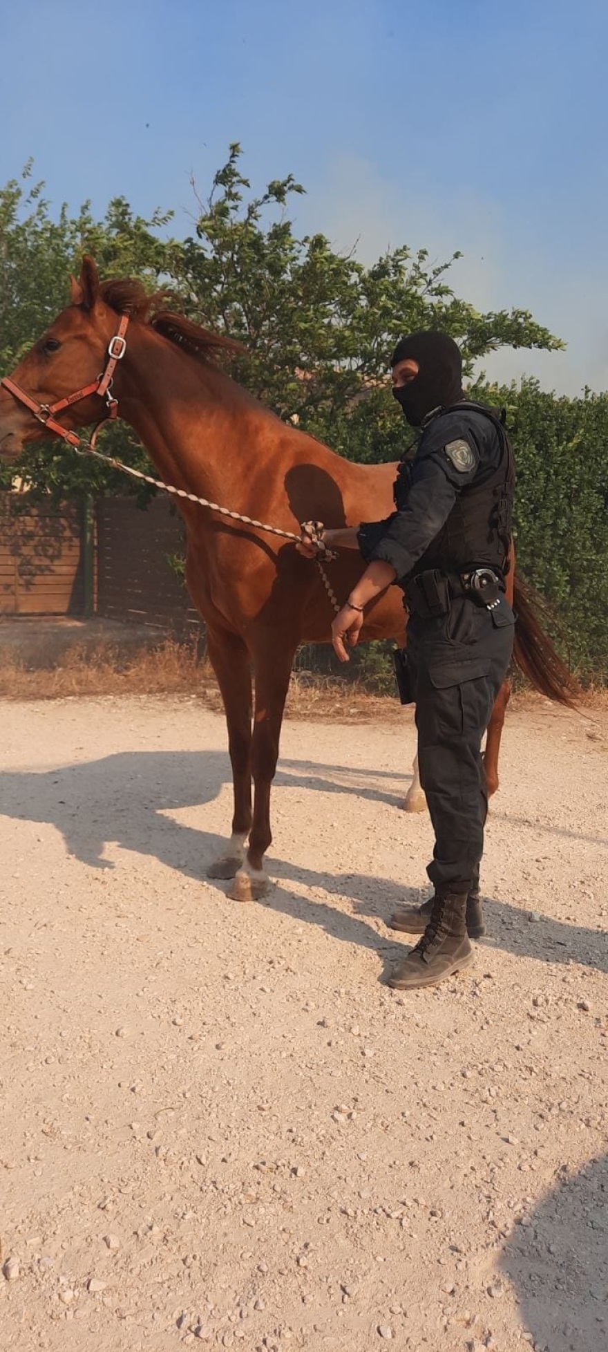  Φωτιές σε Κουβαρά - Λουτράκι: 146 απεγκλωβισμοί πολιτών από την ΕΛΑΣ