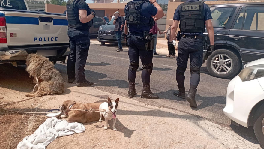  Φωτιές σε Κουβαρά - Λουτράκι: 146 απεγκλωβισμοί πολιτών από την ΕΛΑΣ