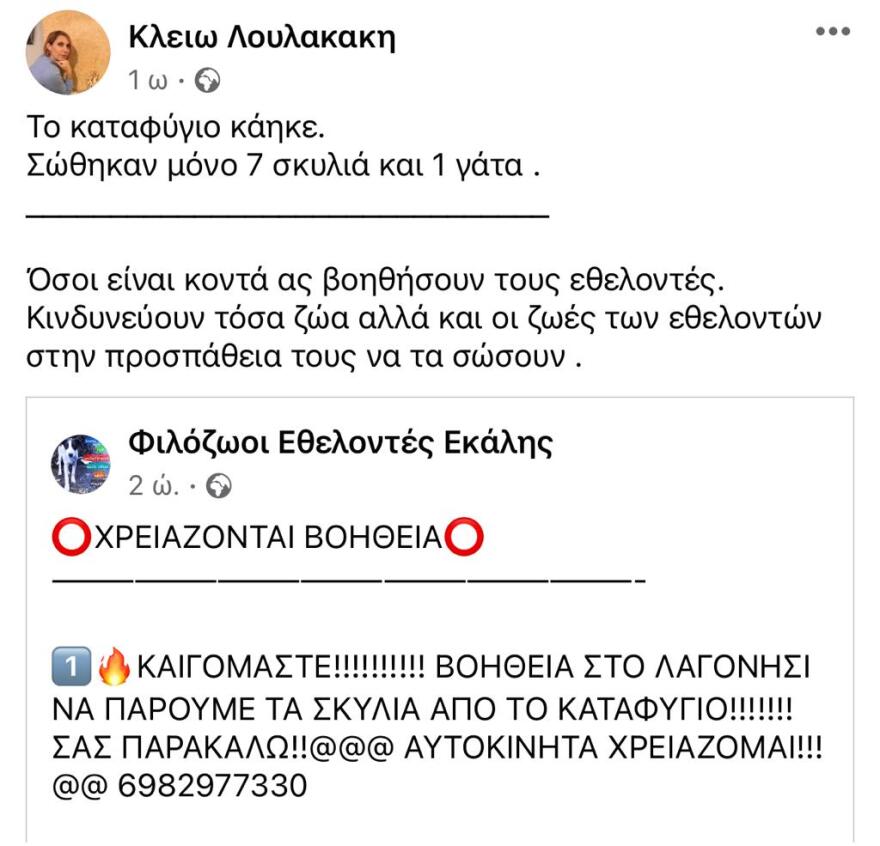 Φωτιά στον Κουβαρά: Κάηκε καταφύγιο ζώων στο Λαγονήσι - Δραματικές προσπάθειες διάσωσης
