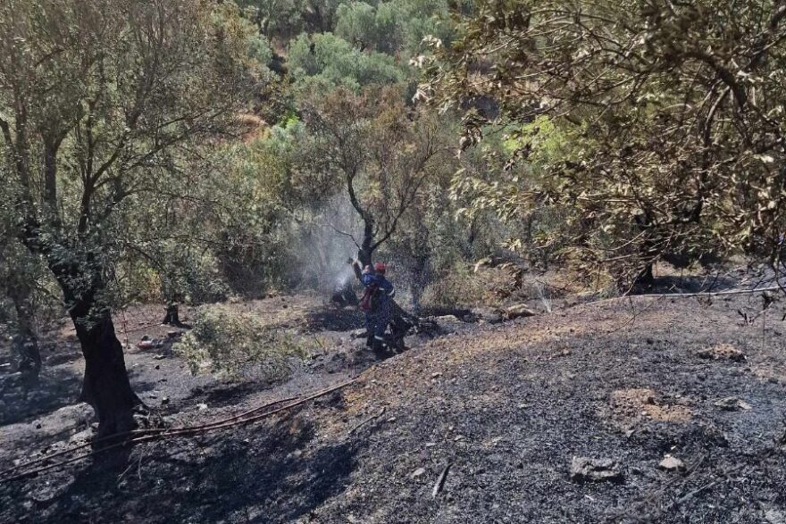 Υπό έλεγχο η φωτιά στη Λαφιώνα Λέσβου
