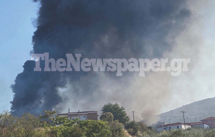 Φωτιά στο Σέσκλο Μαγνησίας - Κινητοποιήθηκαν επίγειες και εναέριες δυνάμεις