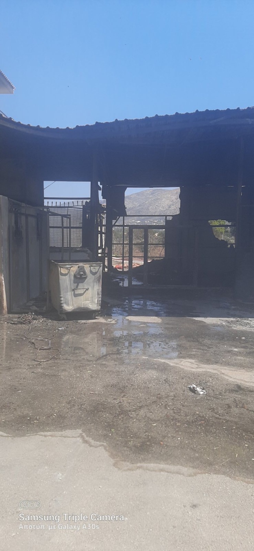 Φωτιές - Δήμος Σαρωνικού: Ξεκίνησαν οι αυτοψίες στα καμένα της Σαρωνίδας - Δείτε φωτογραφίες