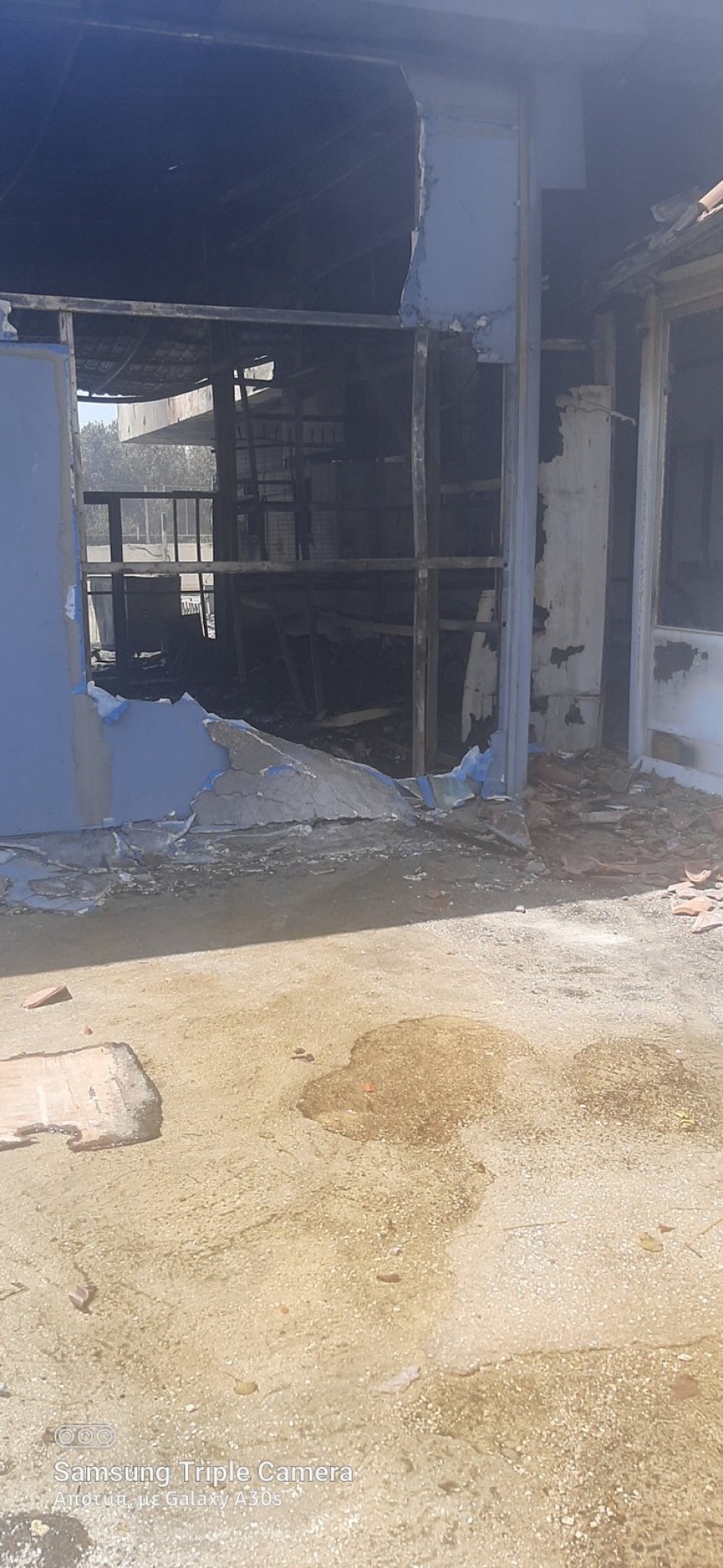 Φωτιές - Δήμος Σαρωνικού: Ξεκίνησαν οι αυτοψίες στα καμένα της Σαρωνίδας - Δείτε φωτογραφίες